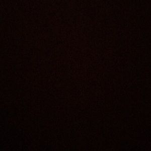 Meet your Posher, Lilly